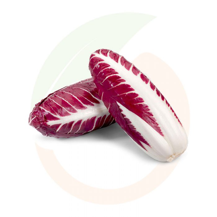 radicchio-rosso-precoce